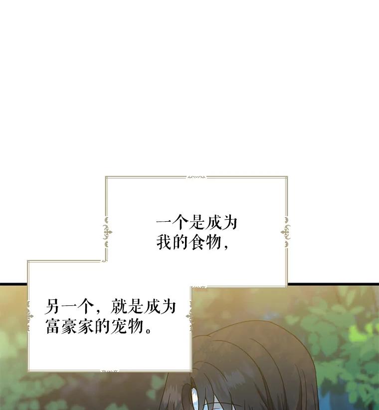 请张嘴，金汤匙来了 - 33.离开大教堂（2） 第43页
