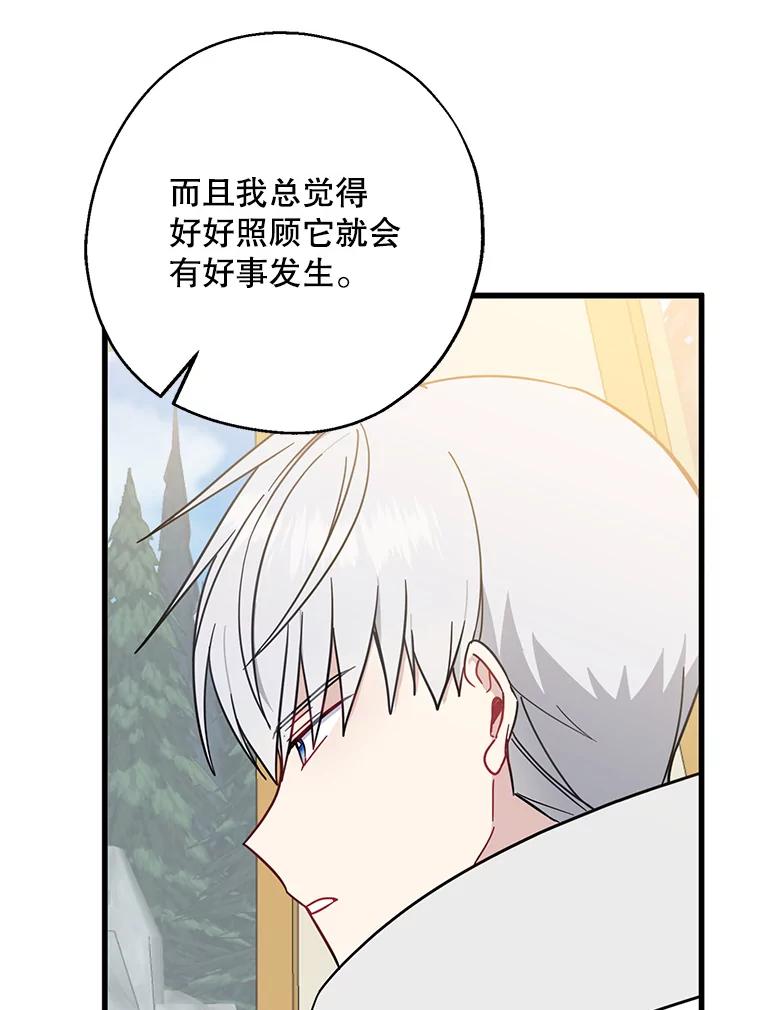 请张嘴，金汤匙来了 - 36.下山 第78页