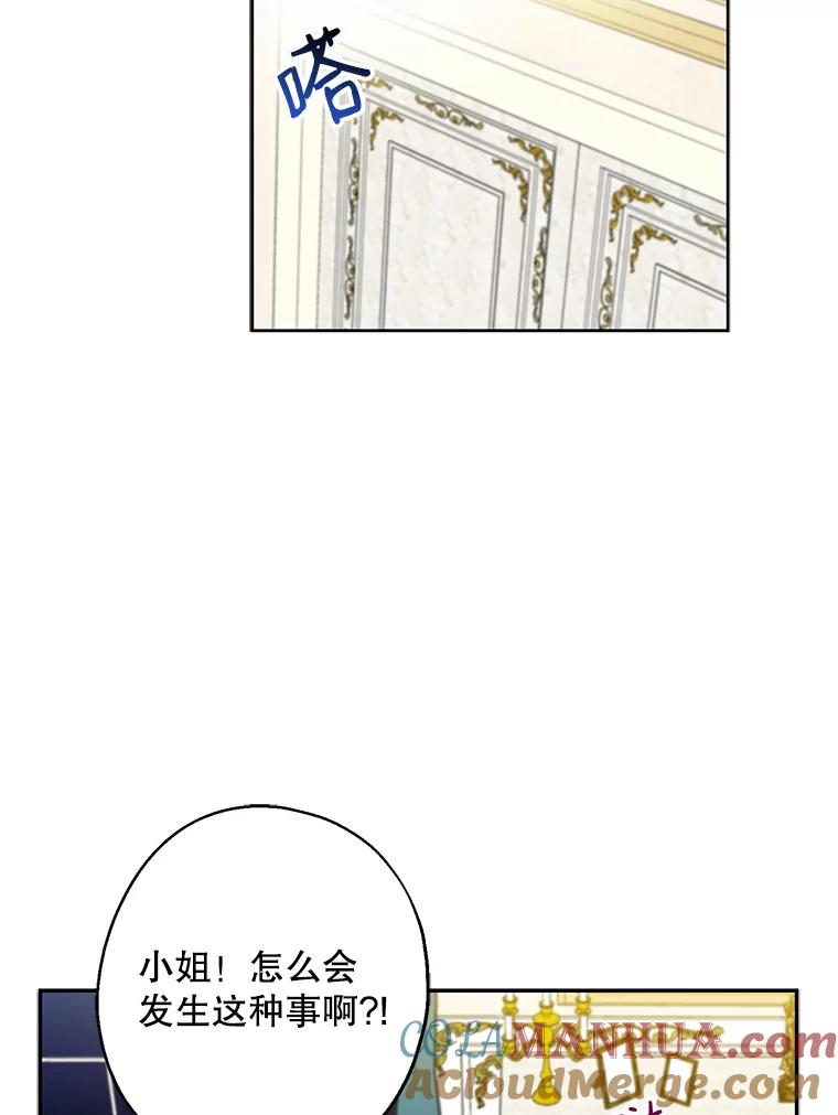 请张嘴，金汤匙来了 - 6.继承人之争 第28页