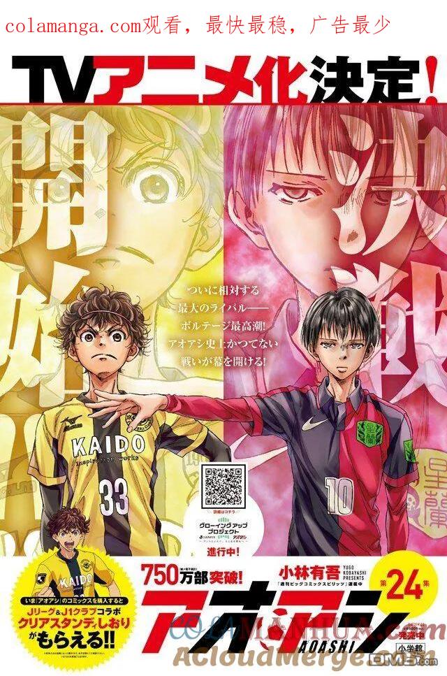 《青之芦苇》TV动画化决定 第1页