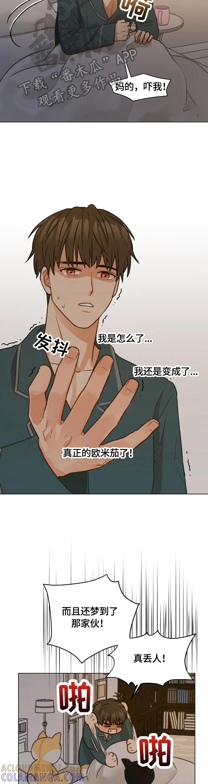 《亲密友人》第21章：再遇 第3页