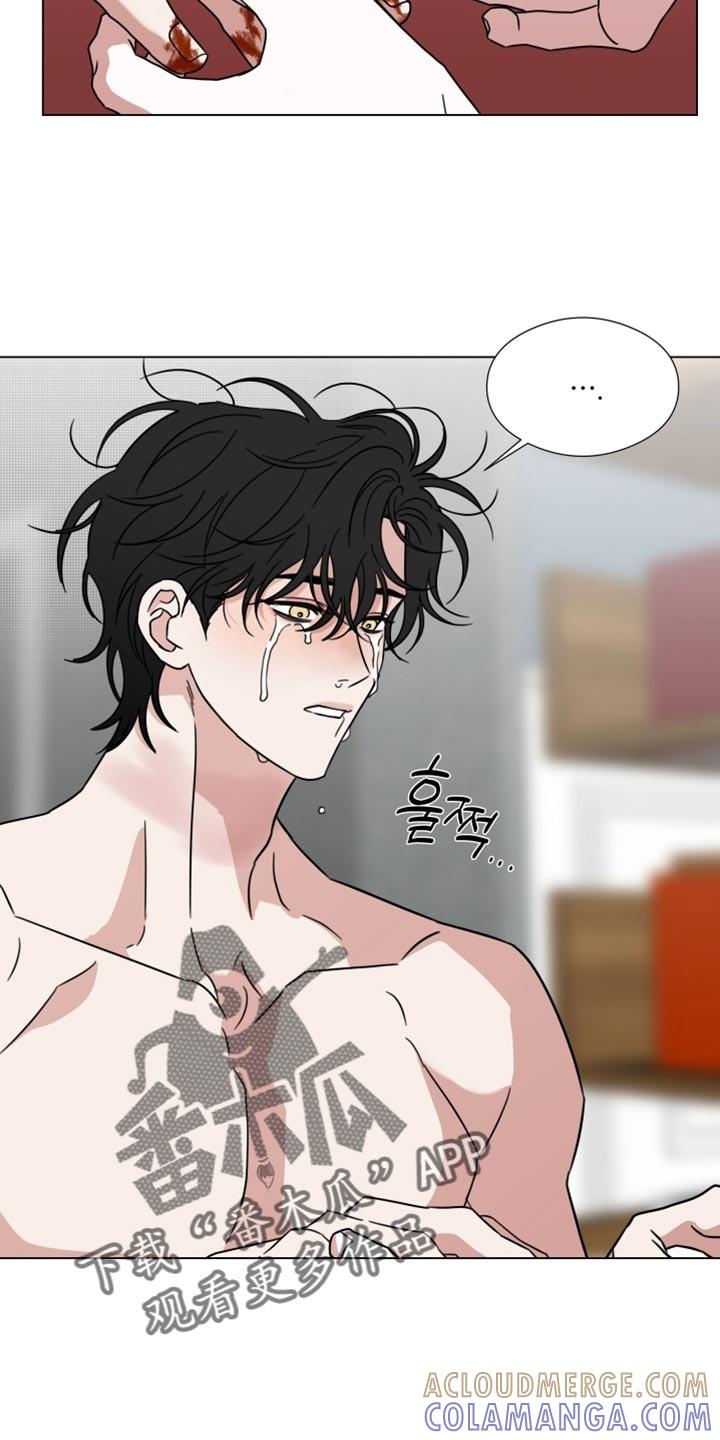 《疯狂禁锢》第77章：【第二季】求你别丢下我 第13页