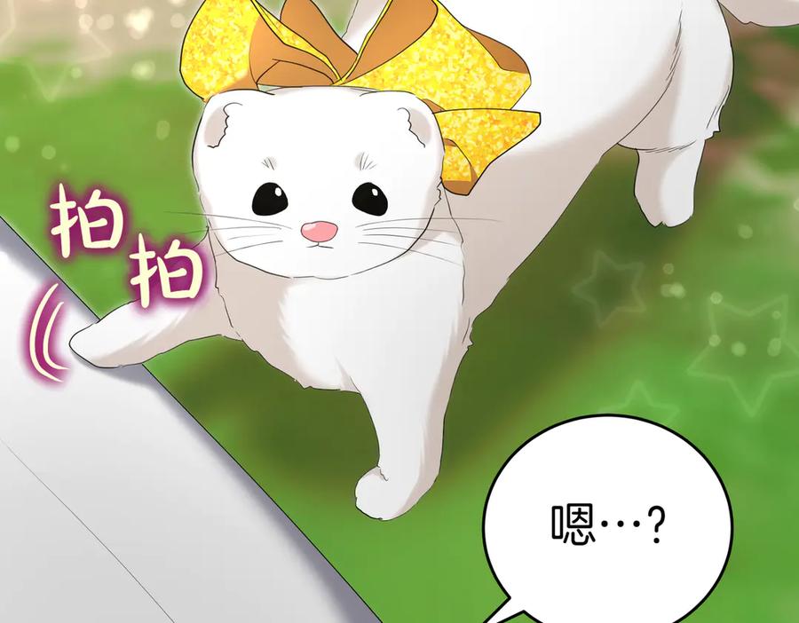 《小姐不愿意》第23话 千钧一发 第158页