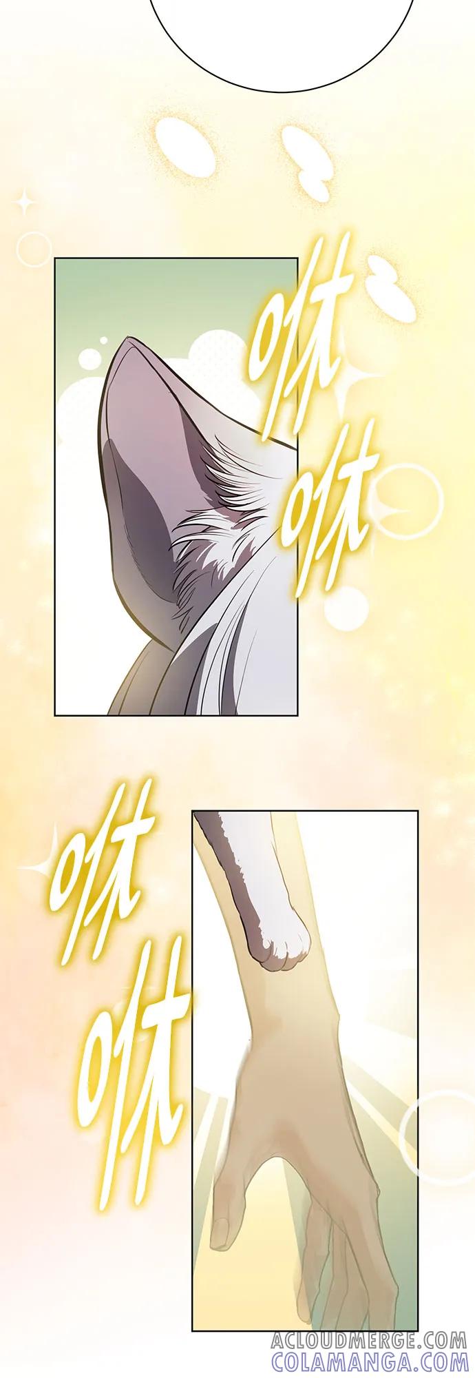 致我丈夫的情人 - 第84话 - 第52张图