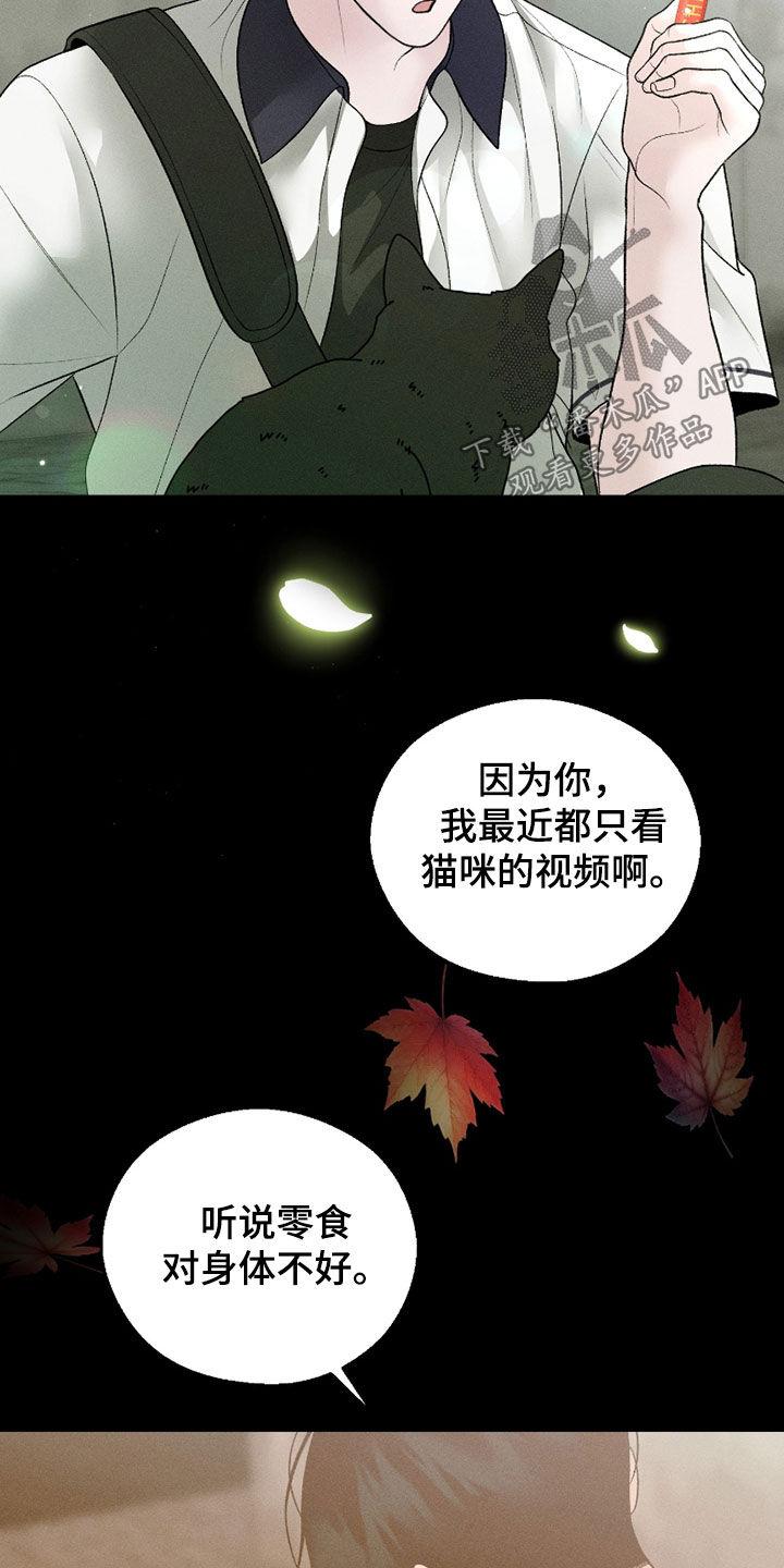 《我的救世主》第87章：【第二季】遗忘 第28页