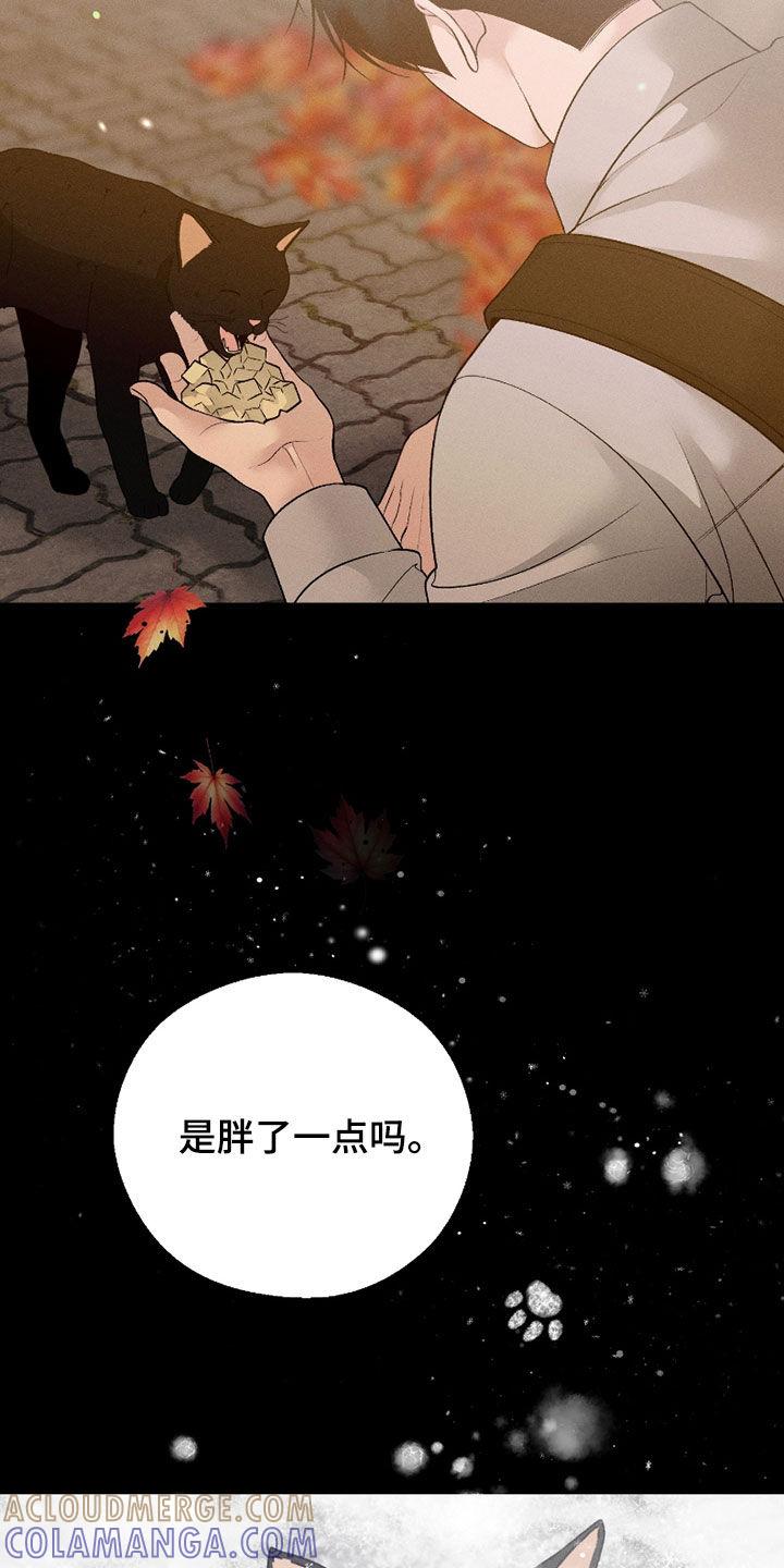 《我的救世主》第87章：【第二季】遗忘 第29页