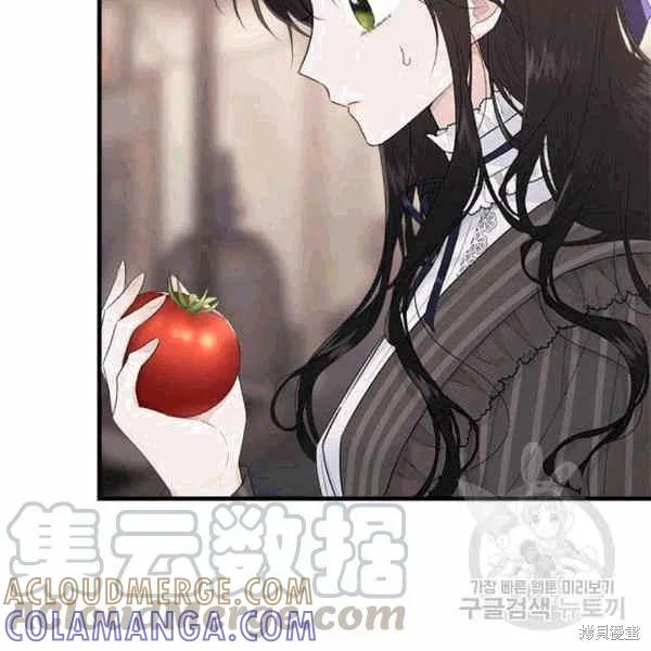 《明明是冷美人小姐却变成了忠犬大少爷》第40话 第101页