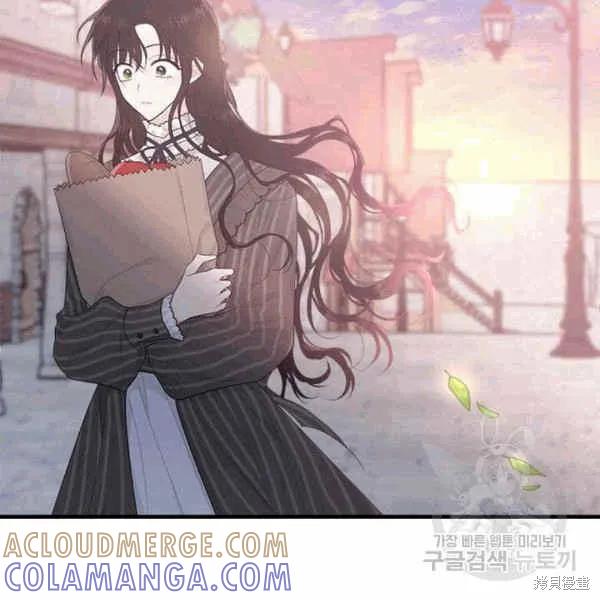 《明明是冷美人小姐却变成了忠犬大少爷》第40话 第117页