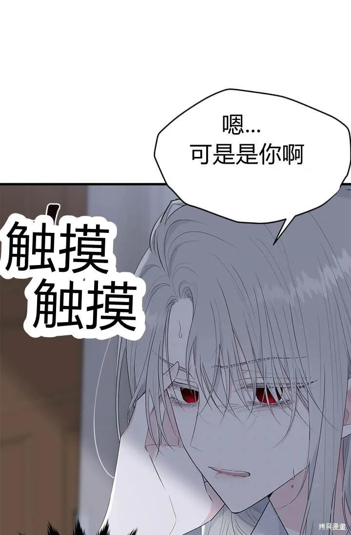 《明明是冷美人小姐却变成了忠犬大少爷》第41话 第8页