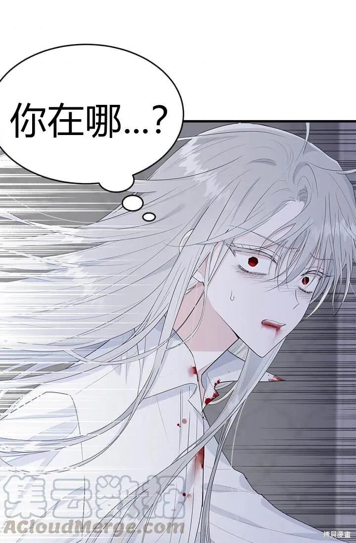 《明明是冷美人小姐却变成了忠犬大少爷》第41话 第56页