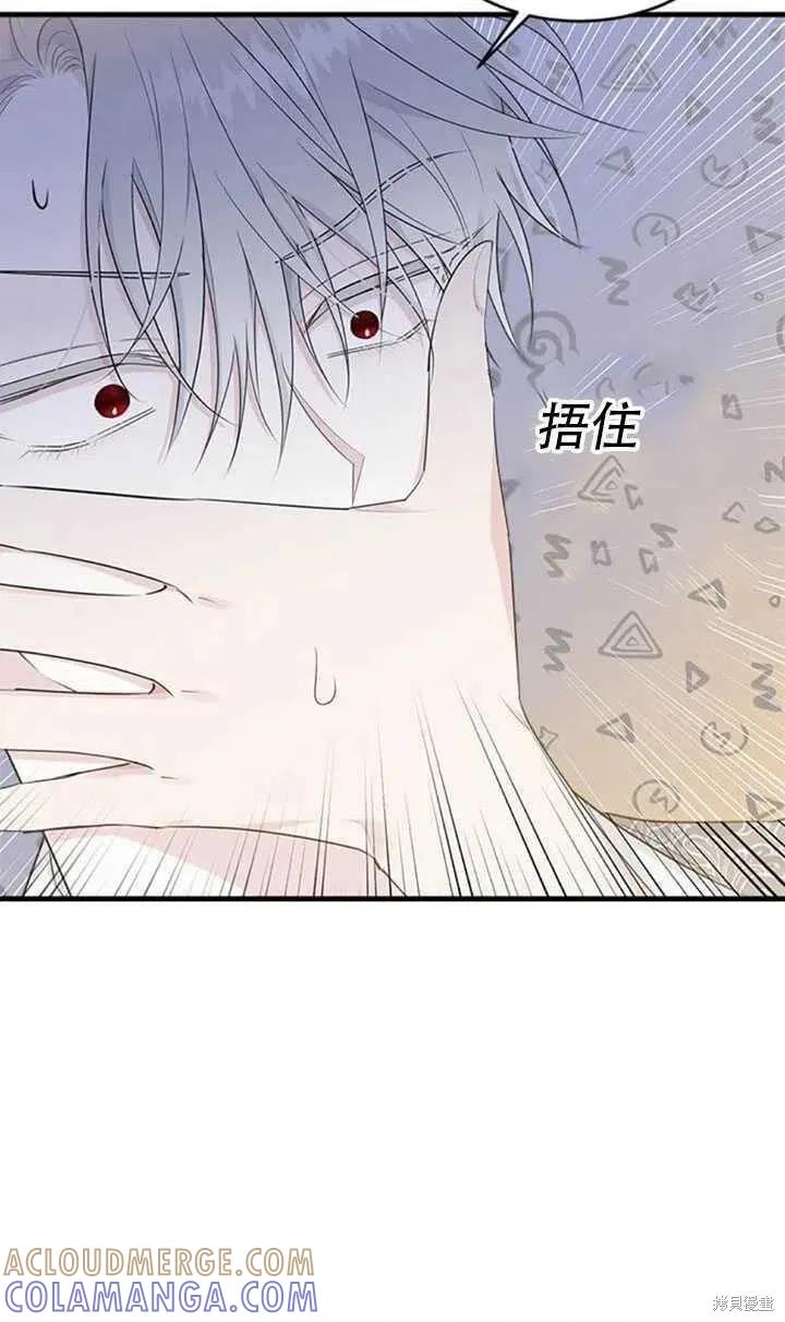 《明明是冷美人小姐却变成了忠犬大少爷》第45话 第67页