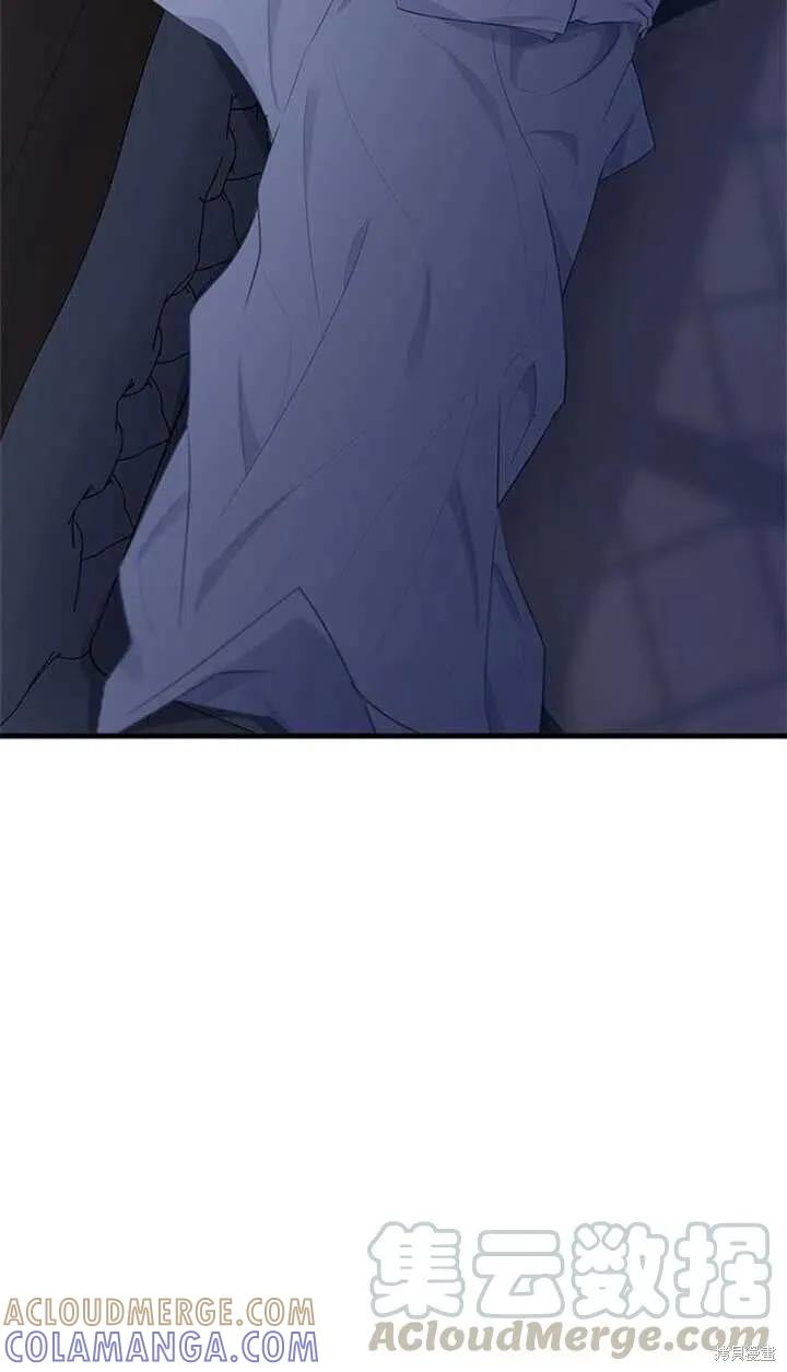 《明明是冷美人小姐却变成了忠犬大少爷》第46话 第67页