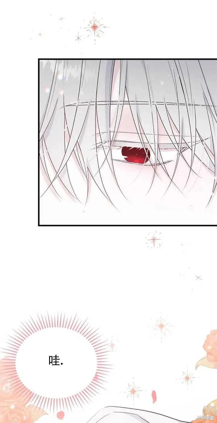 《明明是冷美人小姐却变成了忠犬大少爷》第46话 第35页