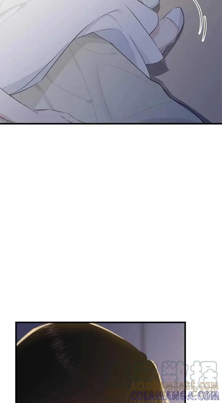 《明明是冷美人小姐却变成了忠犬大少爷》第46话 第31页