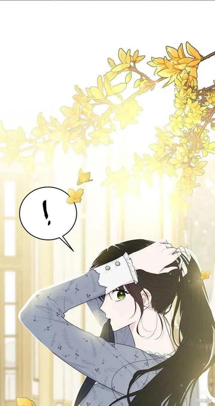 《明明是冷美人小姐却变成了忠犬大少爷》第51话 第51页