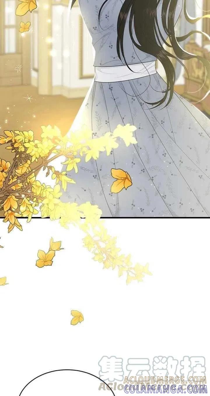 《明明是冷美人小姐却变成了忠犬大少爷》第51话 第52页