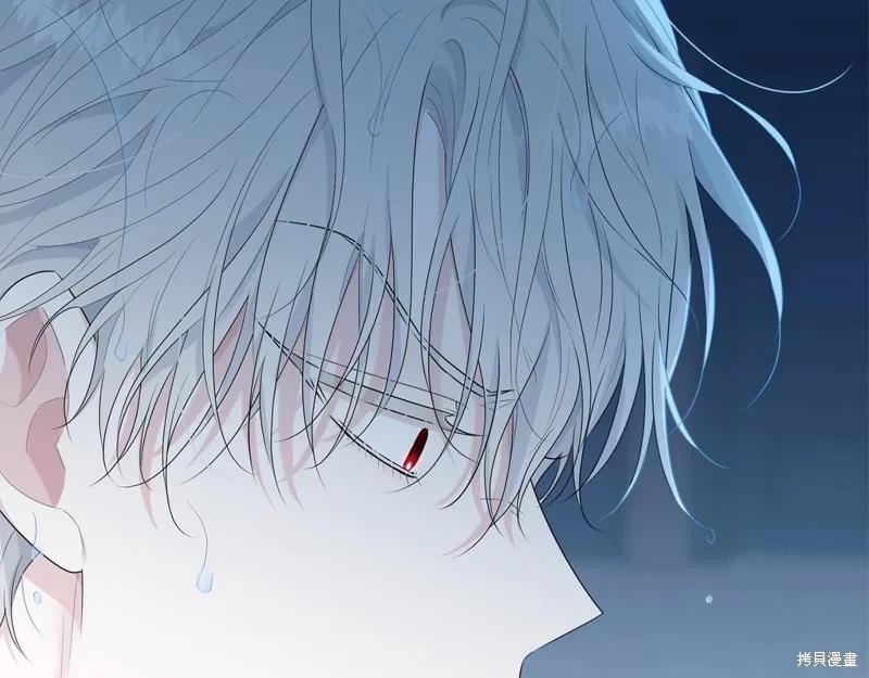 《明明是冷美人小姐却变成了忠犬大少爷》第58话 第92页