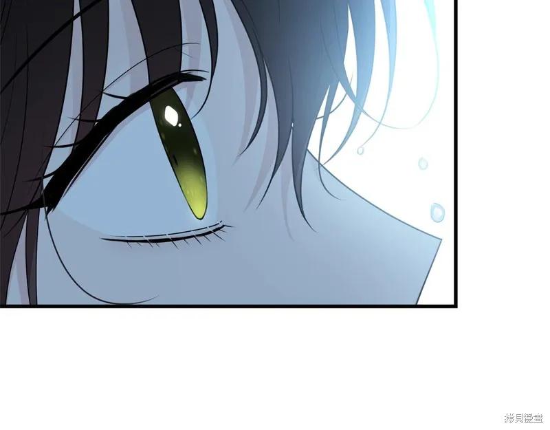 《明明是冷美人小姐却变成了忠犬大少爷》第58话 第178页