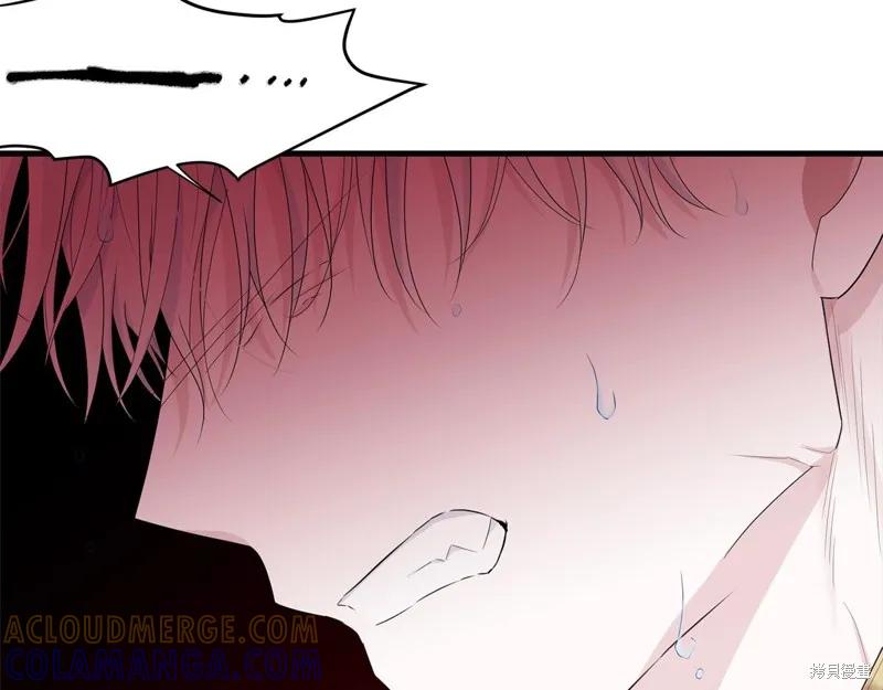《明明是冷美人小姐却变成了忠犬大少爷》第58话 第33页