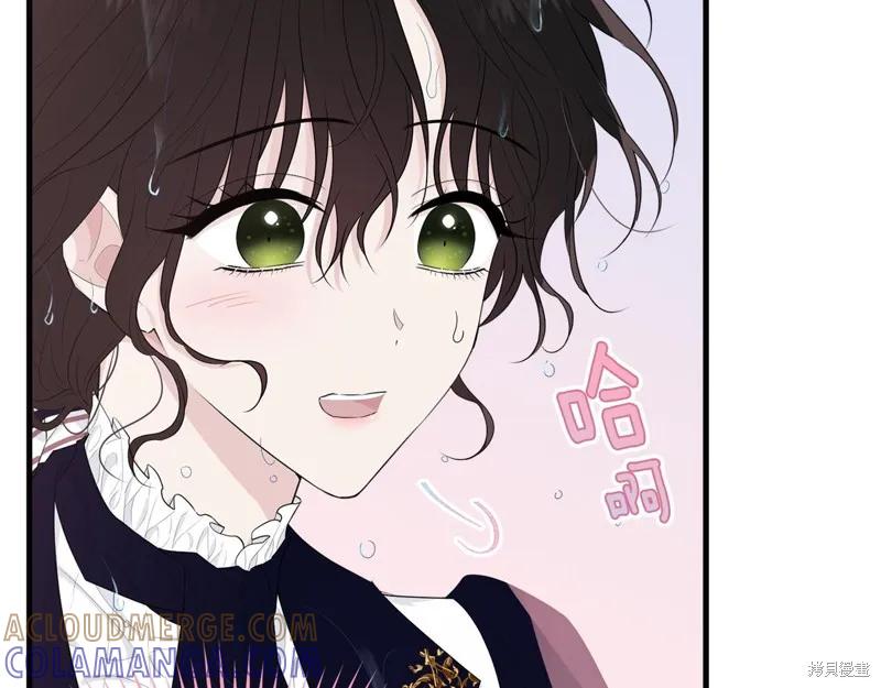 《明明是冷美人小姐却变成了忠犬大少爷》第58话 第17页