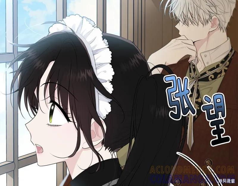 《明明是冷美人小姐却变成了忠犬大少爷》第59话 第125页