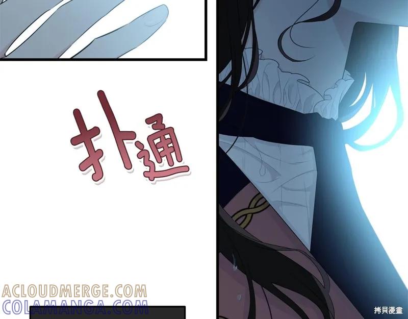 《明明是冷美人小姐却变成了忠犬大少爷》第59话 第17页
