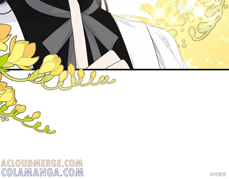 《明明是冷美人小姐却变成了忠犬大少爷》第59话 第185页