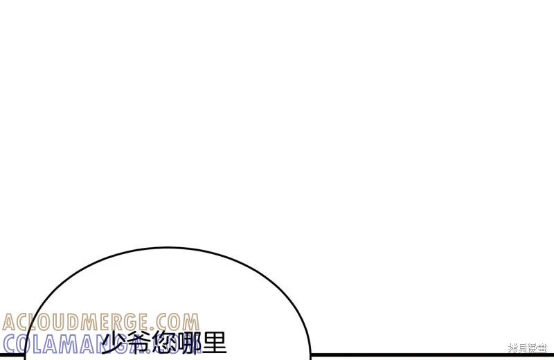 《明明是冷美人小姐却变成了忠犬大少爷》第59话 第165页