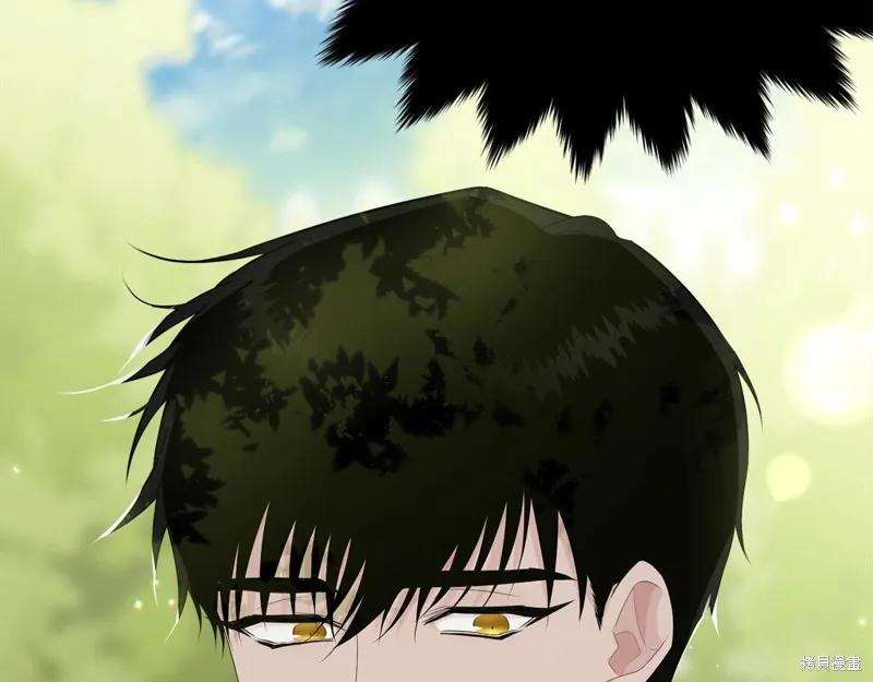 《明明是冷美人小姐却变成了忠犬大少爷》第60话 第110页