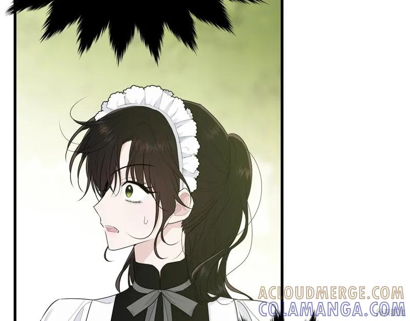 《明明是冷美人小姐却变成了忠犬大少爷》第60话 第61页