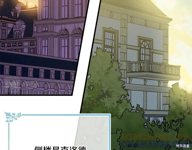 《明明是冷美人小姐却变成了忠犬大少爷》第60话 第173页