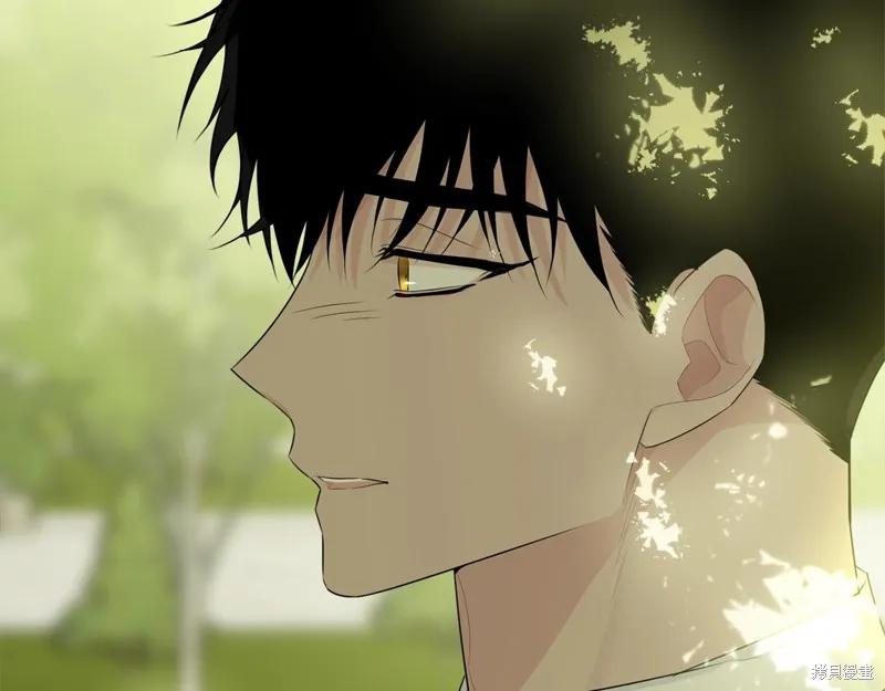 《明明是冷美人小姐却变成了忠犬大少爷》第60话 第95页