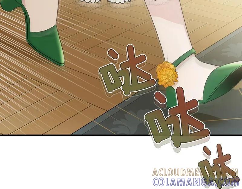《明明是冷美人小姐却变成了忠犬大少爷》第61话 第5页