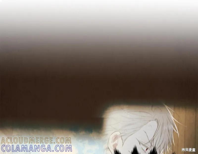《明明是冷美人小姐却变成了忠犬大少爷》第61话 第101页