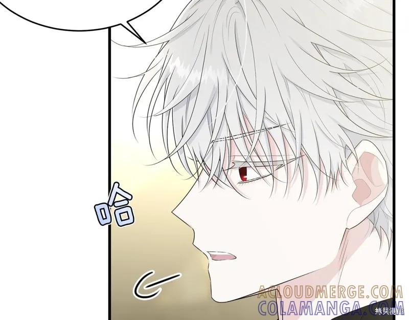 《明明是冷美人小姐却变成了忠犬大少爷》第61话 第49页