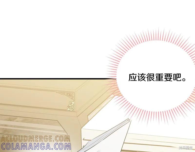 《明明是冷美人小姐却变成了忠犬大少爷》第61话 第177页