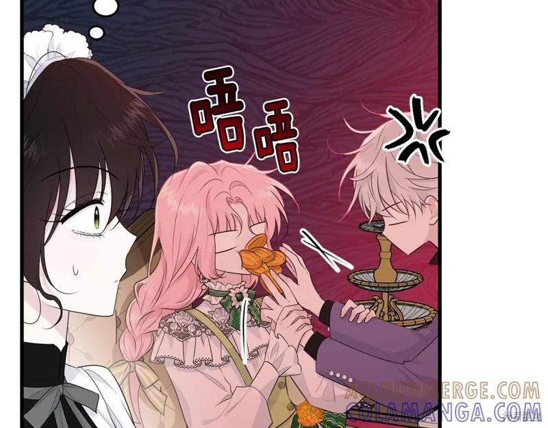 《明明是冷美人小姐却变成了忠犬大少爷》第61话 第165页