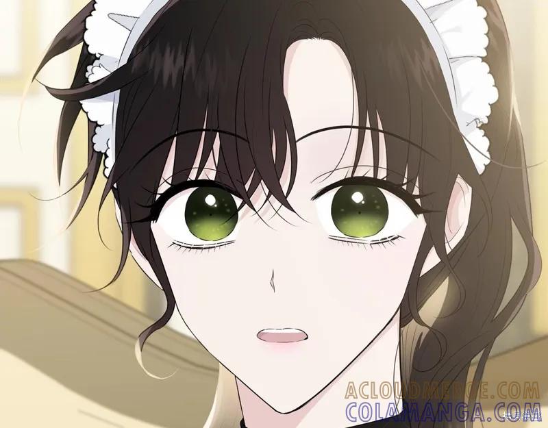 《明明是冷美人小姐却变成了忠犬大少爷》第61话 第197页