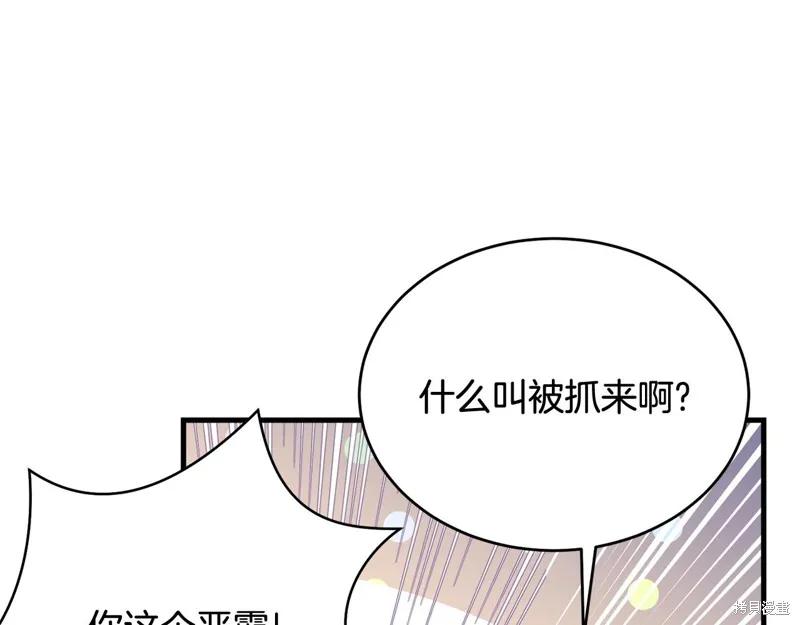 《明明是冷美人小姐却变成了忠犬大少爷》第61话 第16页