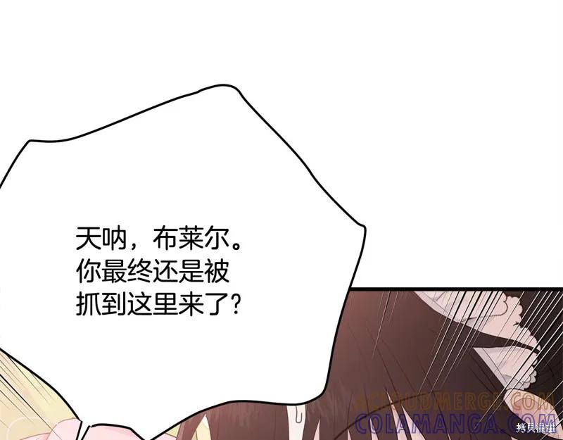 《明明是冷美人小姐却变成了忠犬大少爷》第61话 第13页