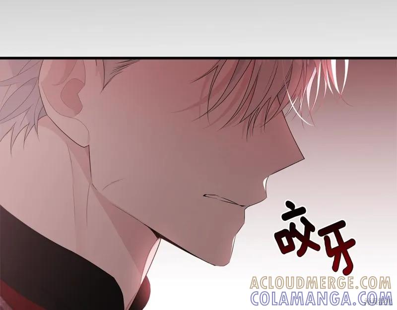 《明明是冷美人小姐却变成了忠犬大少爷》第62话 第181页