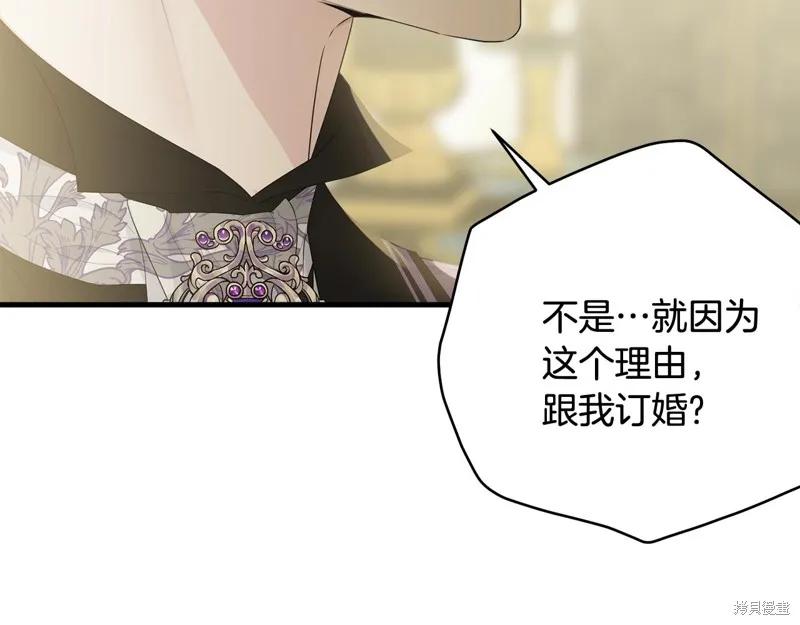 《明明是冷美人小姐却变成了忠犬大少爷》第62话 第39页