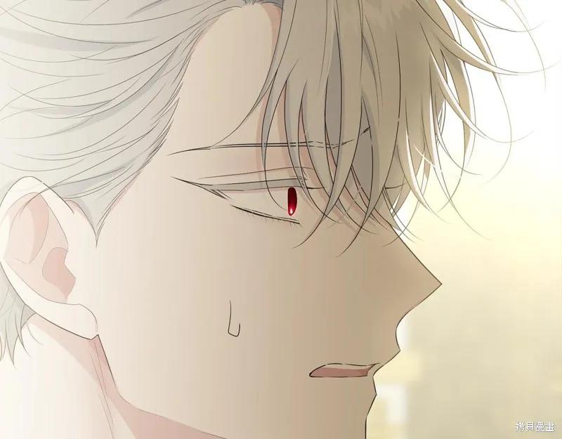 《明明是冷美人小姐却变成了忠犬大少爷》第62话 第38页