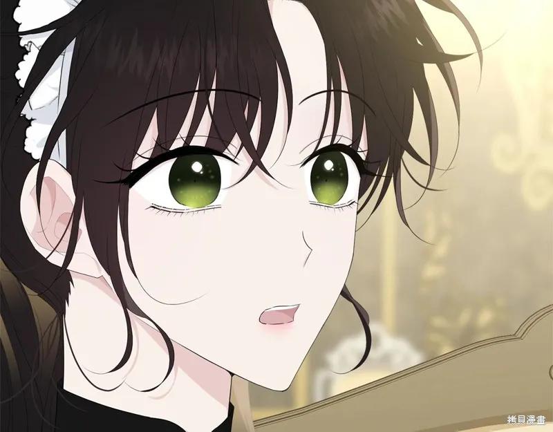 《明明是冷美人小姐却变成了忠犬大少爷》第62话 第23页