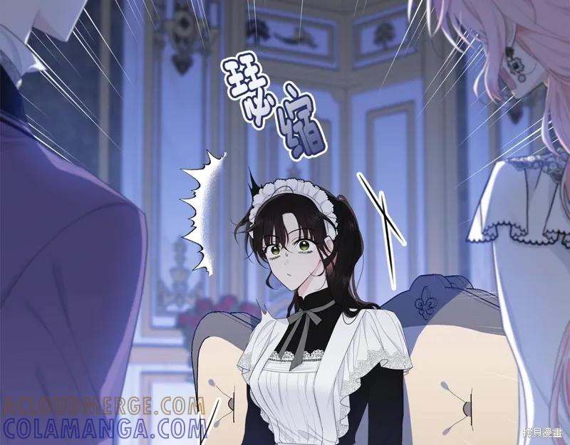《明明是冷美人小姐却变成了忠犬大少爷》第62话 第13页