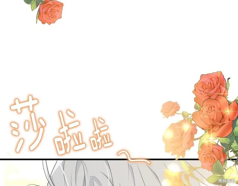 《明明是冷美人小姐却变成了忠犬大少爷》第62话 第72页