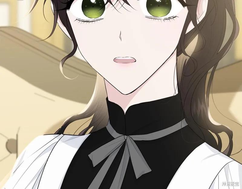 《明明是冷美人小姐却变成了忠犬大少爷》第62话 第6页