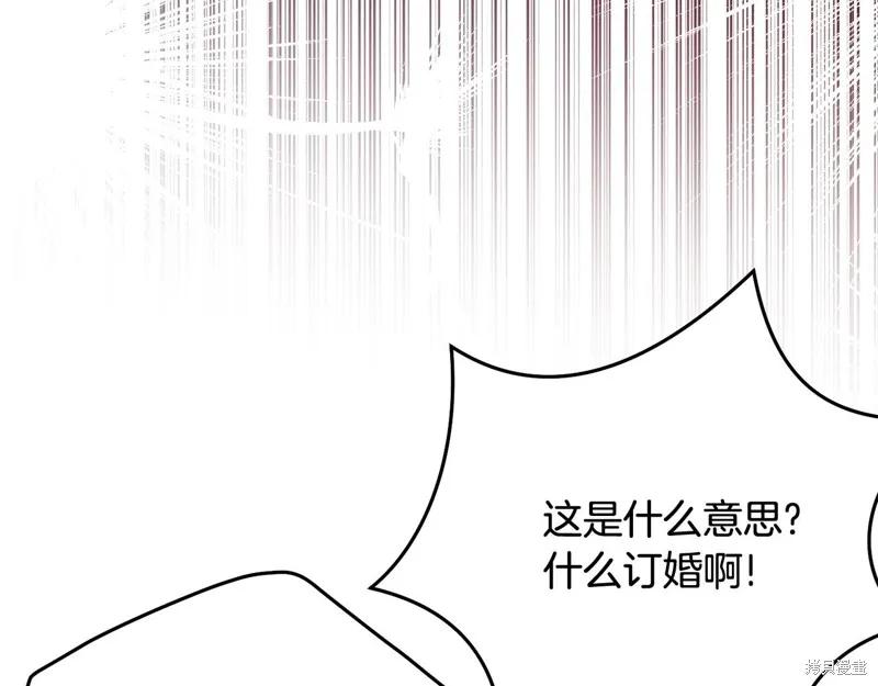 《明明是冷美人小姐却变成了忠犬大少爷》第62话 第11页