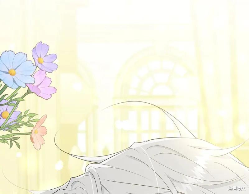 《明明是冷美人小姐却变成了忠犬大少爷》第63话 第206页