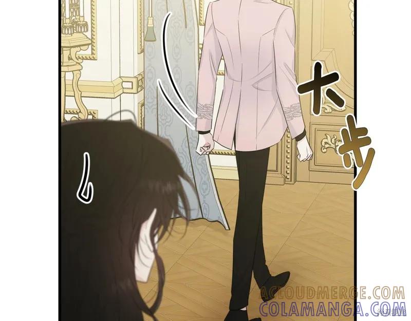《明明是冷美人小姐却变成了忠犬大少爷》第63话 第9页